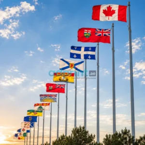 Country Flag