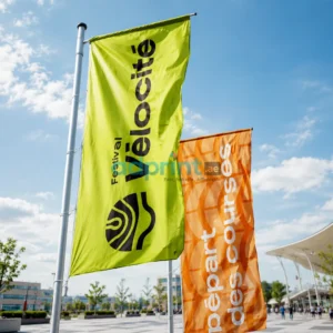 Pole Flag